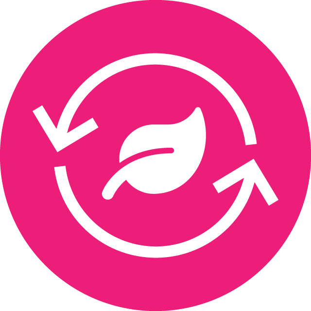 SWM Icon 3
