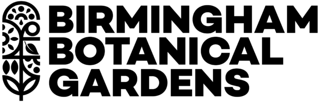 BBG Logo