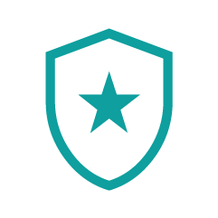 icon shield@2x